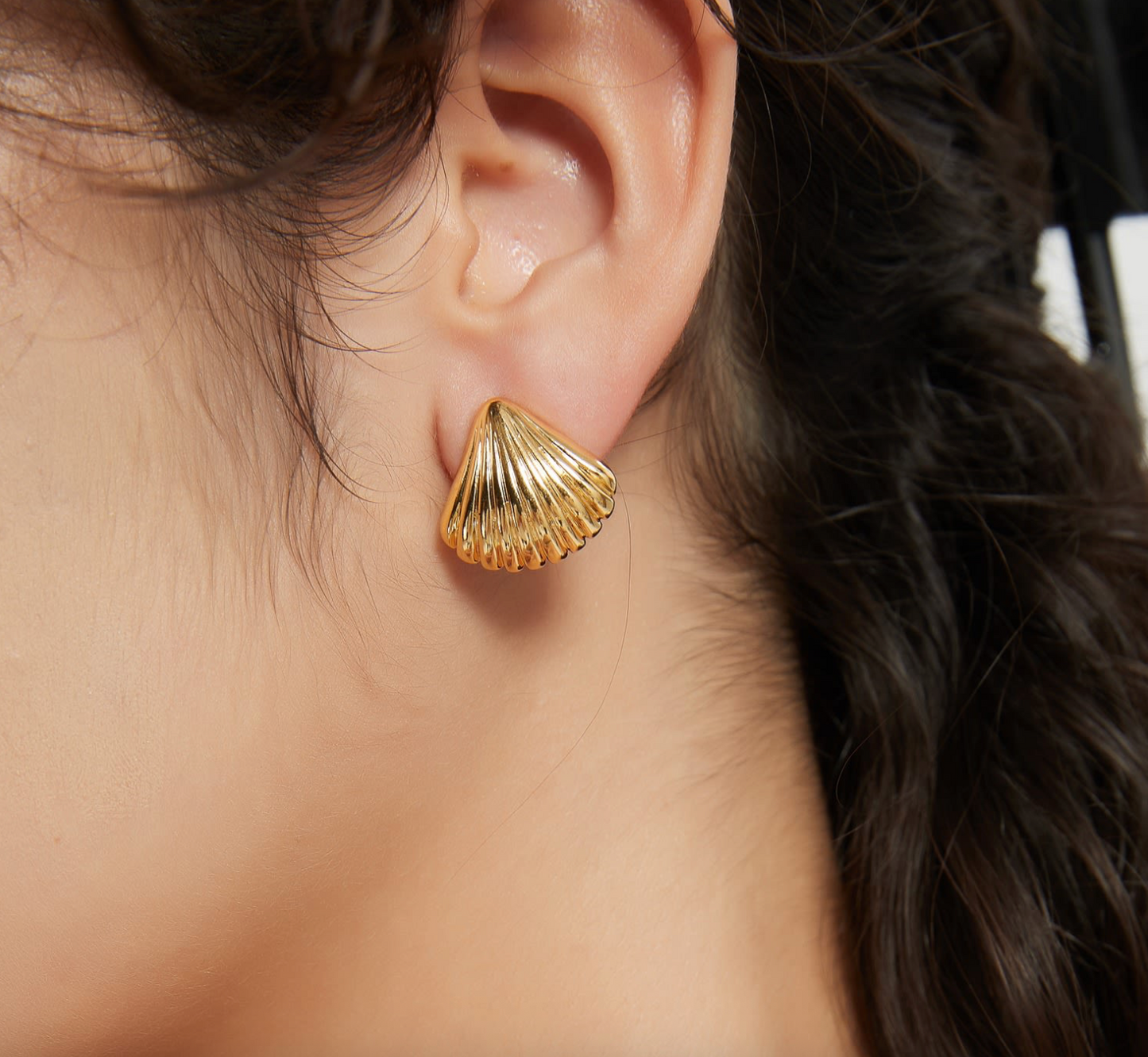 Veil Shell | Minimalist Fan Earrings